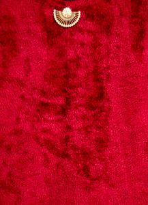 Red Fuzzy Sweater