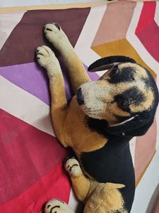 Cute Plush Dog Toy