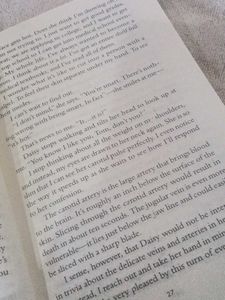 The Boyfriend by Freida McFadden Novel