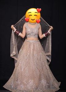 Sparkling Bridal Lehenga Choli