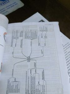 oswaal Bst Class 12 New Edition Book
