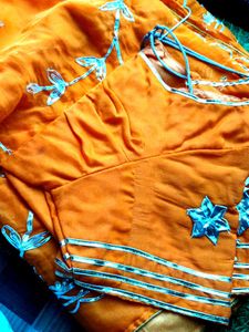 beautiful orange saree