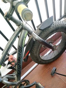 Harlan Fat Tire Bicycle