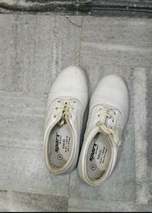 Sparx White Lace-Up Casual Shoes