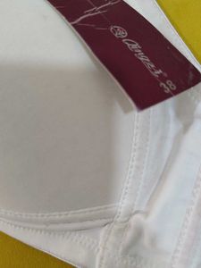 904 --  sample item Padded Bra