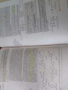NCERT Chemistry Textbook Part II
