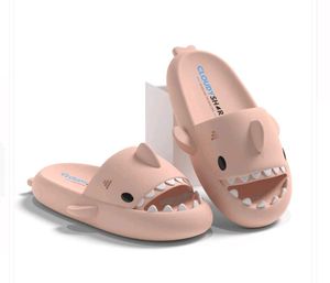 Cute Cloudy Shark Slides