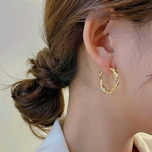 Chic Twisted Hoop Earrings