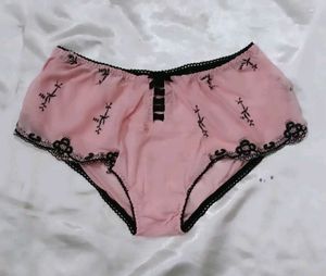 Sheer Pink panty