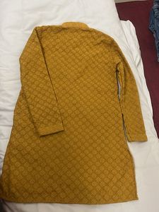 Men's Mustard Embroidered Kurta