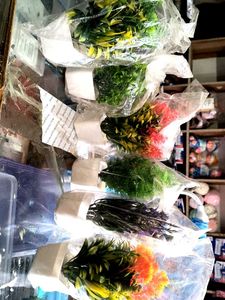 Vibrant Artificial Plants - Set of 6