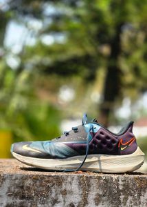 Nike Zoom Pegasus 39 shield