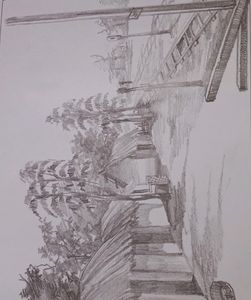 Still Life Shade Drawing