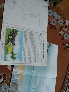Story Books
