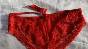Lace Red Briefs