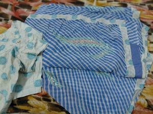 Blue &amp; White Striped Saree