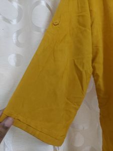 Brand Classic ROYAL , Size L