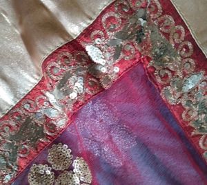 Embellished Saree Border