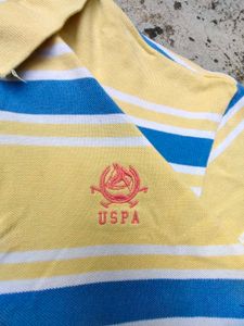 U.S.P.A Striped Polo T-Shirt