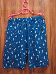 Blue Cactus Print Shorts