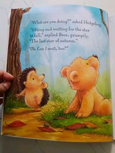 How to Catch a Falling Star Book