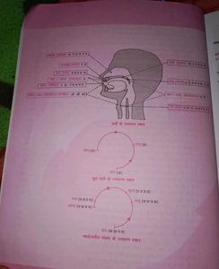 Lucent's Samanya Hindi Book