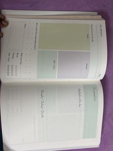 New Dairy. Organizer. Journal.