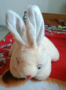 Soft Toy