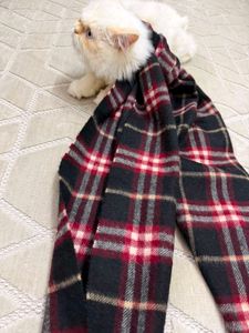 Cozy Plaid Scarf