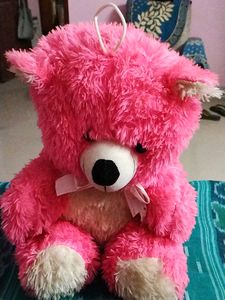 Deddy Bear For Kids New