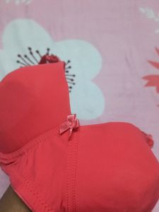 Lightly Padded Bra