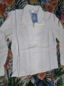 Elegant Cream Blouse
