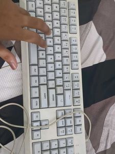 Used RGB Keyboard