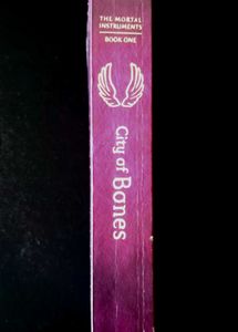 The Mortal Instruments by Cassandra Clare (1-3)