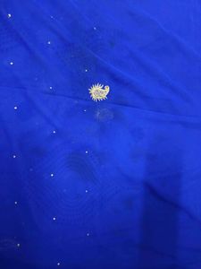 Aari Work Saree Have Some Stain Need Dry Clean