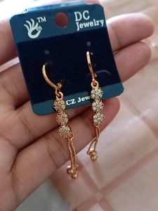 it's New Earrings .