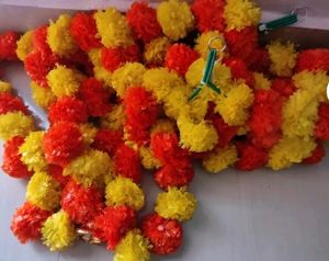 Beautiful Marigold Toran Set.....