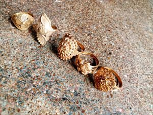 Gold Tone Ring Set