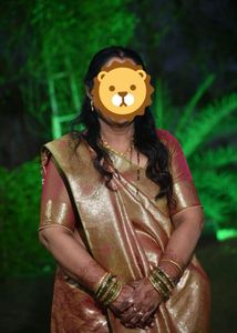 Elegant Silk Saree golden brown