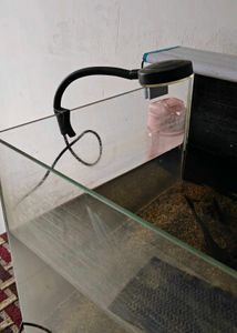aquarium light