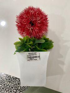 Beautiful Show Piece