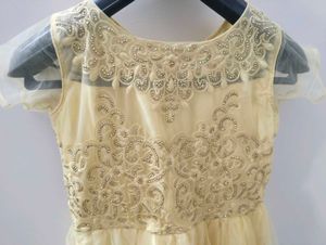 Beautiful Yellow Net Gown