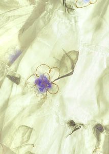 Organza dress light academia aesthetics