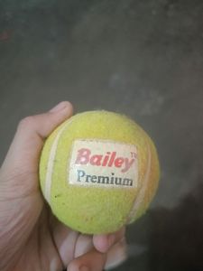 Cricket Ball