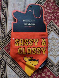 Dog clothing and toy combo
