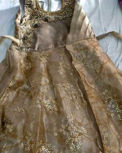 Exquisite Gold Embellished Gown