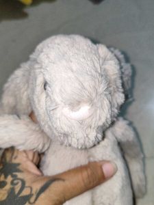 Jellycat bashful bunny with tag