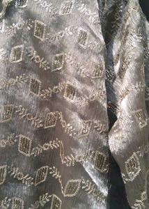 Organza Suit Set