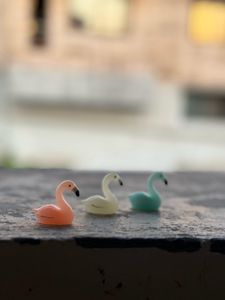 Set Of 3 Colourful Birds Miniature