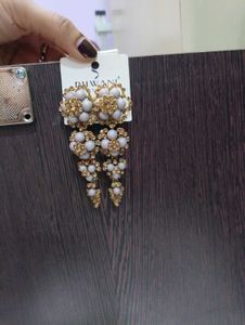 Elegant Dangle Earrings